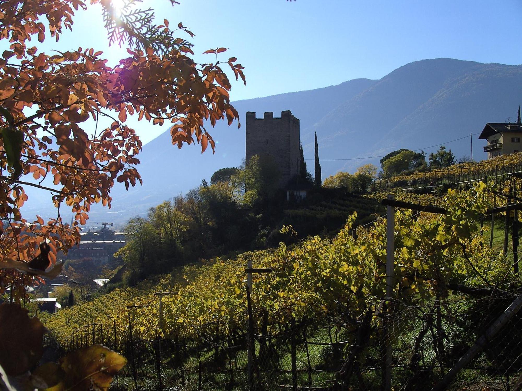 Annabell 3* Meran